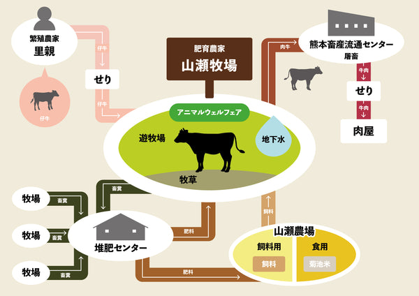 【5/12迄】A5国産黒毛和牛 すき焼き しゃぶしゃぶなどに〈肩ロース スライス【霜降り】〉 500g【5/20〜順次発送】