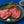 熊本県菊池「山瀬牧場」山瀬牛（A5・BMS12）イチボの①ていねいに調理されたローストビーフ／②自分の好みで調理するブロック肉