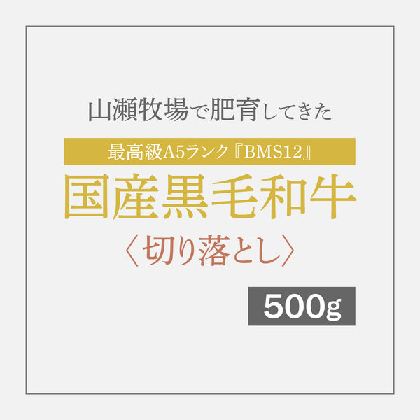 最高級A5ランク国産黒毛和牛『BMS12』 〈切り落とし〉 500g【12月10日〜順次発送】