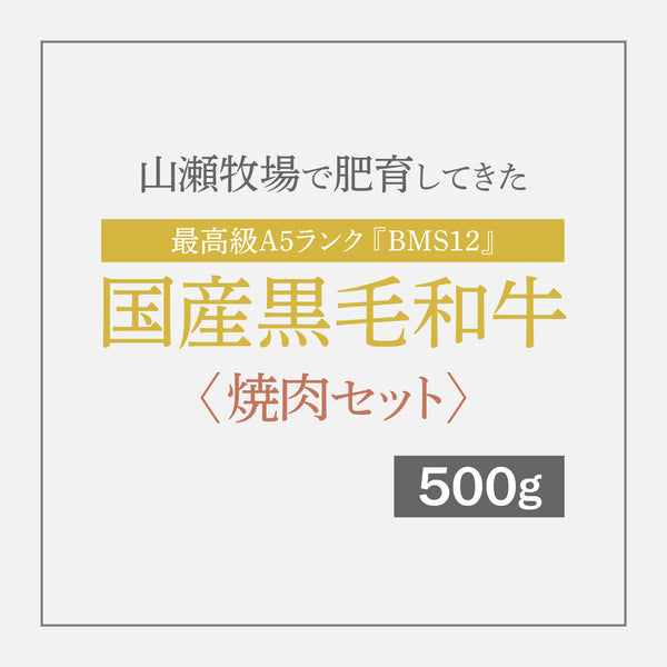 最高級A5ランク国産黒毛和牛『BMS12』 〈焼肉セット〉 500g【12月10日〜順次発送】