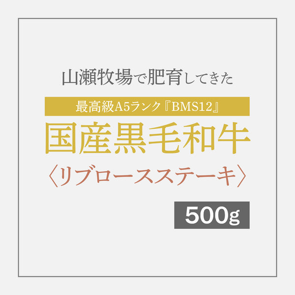 最高級A5ランク国産黒毛和牛『BMS12』 ステーキなどに 〈リブロースステーキ〉 500g【12月10日〜順次発送】