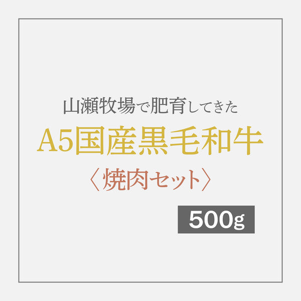 【数量限定】A5国産黒毛和牛 〈焼肉セット〉 500g